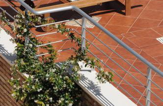 Metohi Georgila - Foto 21