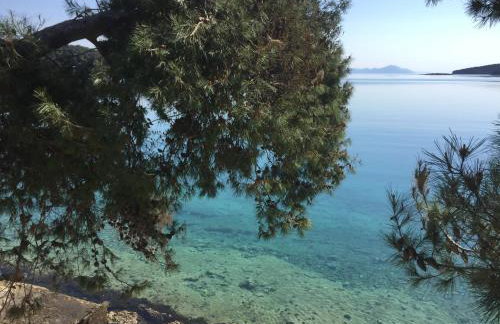 Apartments Danijela - Foto 13