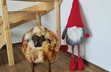 Domki U Uli - Foto 22