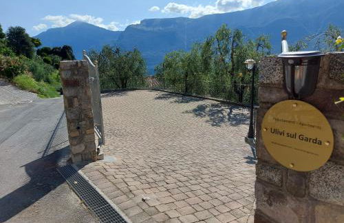 Ulivi sul Garda Garden by Gardadomusmea - Foto 75