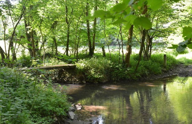 Grand Mill Stay in Anhee - Foto 30