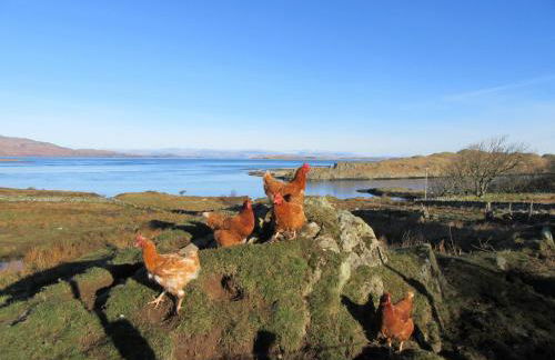 Aird Farm Holiday Cottages - Foto 21