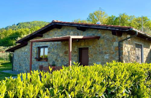 Il Villino del Daino - Toscana - Foto 10