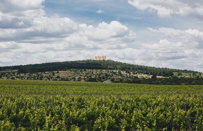 Ai Pilieri di Bagnoli - Foto 52