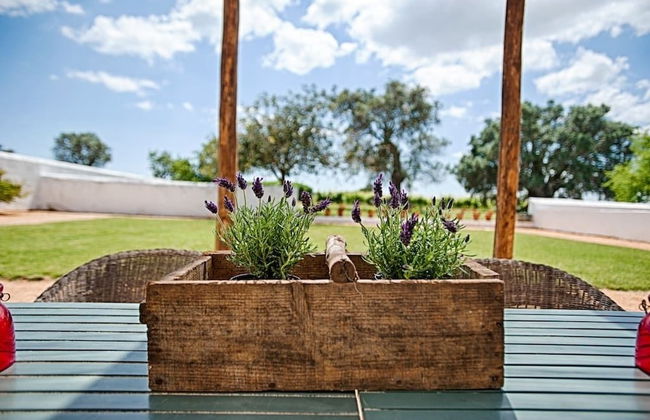 Morgado do Quintao - Foto 70