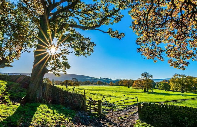 Ferienpark am Hellsee - Photo 22