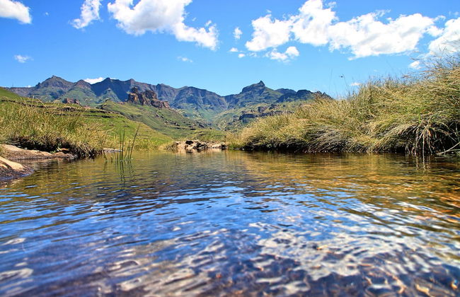 Fairways Self Catering - Foto 7