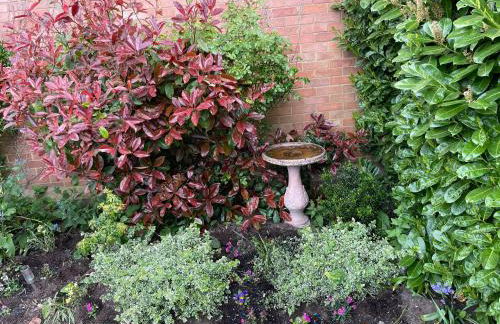 Walnut Cottage - Foto 11