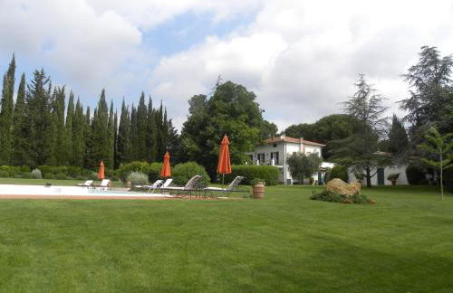 Ghiaccio Bosco - Foto 50