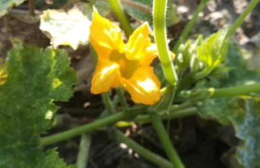 Agriturismo Carrucana - Foto 50