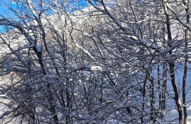 Appartement studio front de neige, accès direct aux pistes - Photo 31