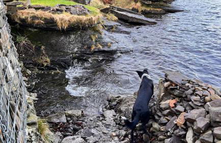 Carnmhor, Isle of Skye - Stunning 242 year old cottage on its own sea shore! - Foto 44