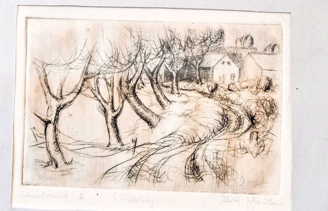 Gemuetliches Apartment in Behmkenhagen mit Terrasse - Foto 22