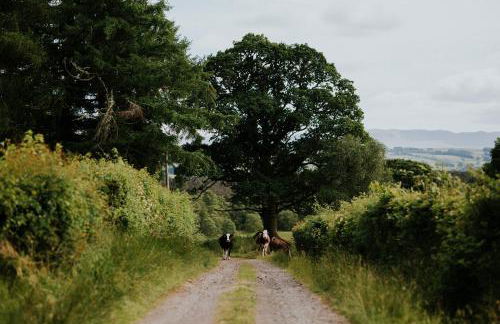 Cardross Holiday Cottages - Foto 48