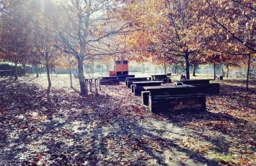 Casa da Arvore - Paradinha - Foto 38