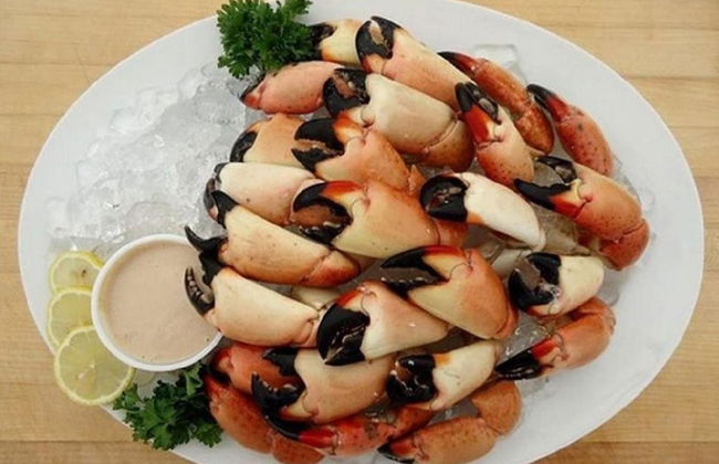 3 Beautiful 4 Bed 3 Bath Pool Home w Free Dock - Foto 36