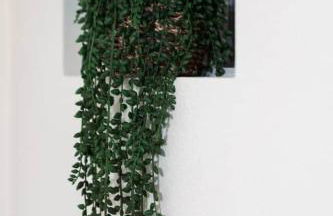 Hill Country Haven: Gateway to TXST and San Marcos - Foto 15