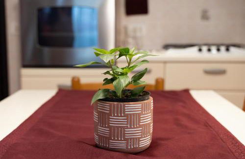 Marina's Venice garden - Foto 8