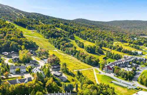 Walk to Ski Lift Spacious Condo in West Dover! - Photo 38