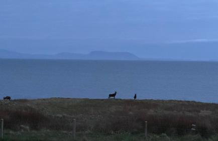 Raasay Holiday Cottage - Foto 12