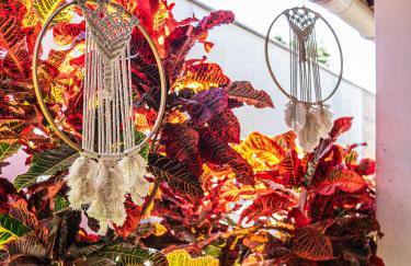 Kite Oasis Parajuru Casa Branca - Photo 22