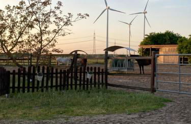 Ferienwohnung Pferdehof Birkholz - Foto 23