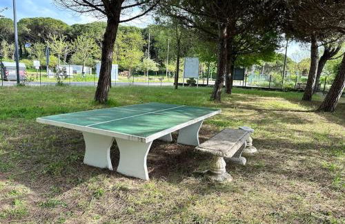 White House - Foto 17