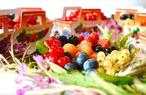 Wood log chalet - Foto 60