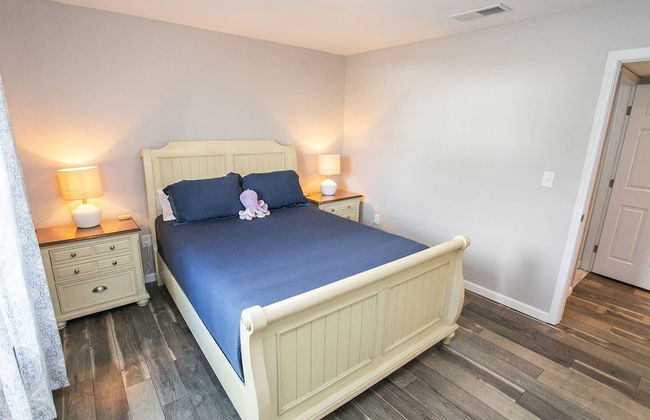 The Octopus Sanctuary - Foto 24