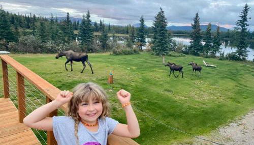 Northern Lights from Hot Tub, Denali National Park - Foto 5