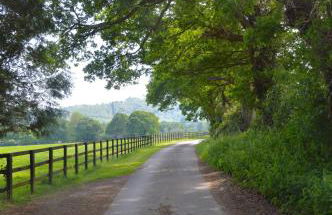 The Hideaway-South Downs National Park - Foto 9