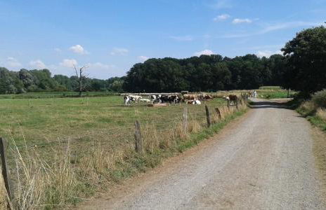 Ferienhaus Burgblick Brueggen - Foto 49