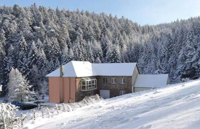 Gite Hansel, set in Greenery Beside a Stream - Foto 11