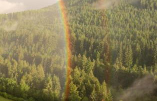 Villa Ried - Foto 15