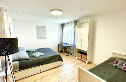 Apartment near Salzburg 3 Zi Bergblick 92m2 - Foto 7