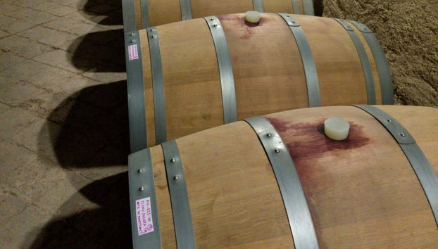 Excursión a una bodega del Priorat - Foto 4, Conociendo las barricas de los vinos del Priorat