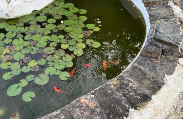 Bruskos Holiday Deluxe - Foto 5