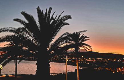 casamarena - Photo 2