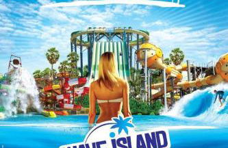 thym & Romarin - Photo 7