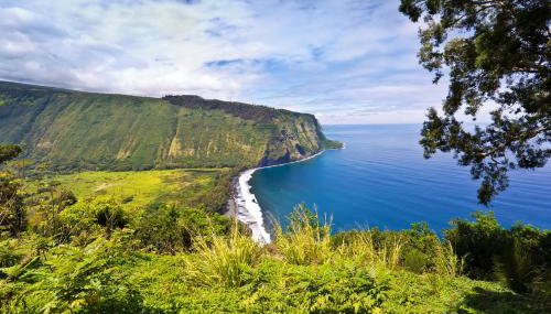 Sea Turtle Life - Foto 4