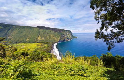 Sea Turtle Life - Photo 4