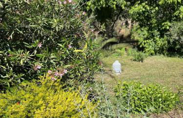 GITES - Mas Saint-Louis - Piscine chauffée - Foto 59