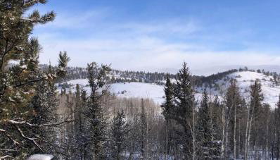 How would it feel to live close to the wildlife in a peaceful cozy cabin - Foto 5