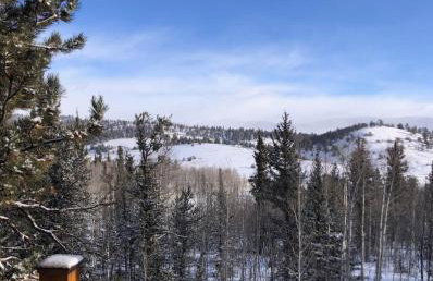 How would it feel to live close to the wildlife in a peaceful cozy cabin - Foto 5