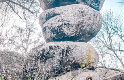 Casa Terra - Foto 36