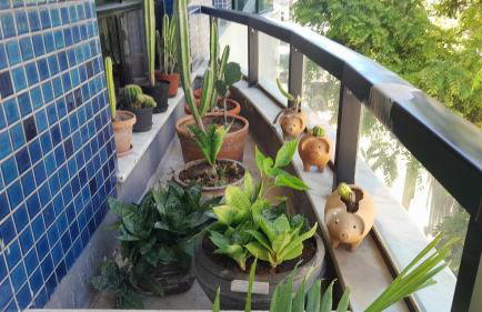 Ver o Mar - Rio Vermelho - Foto 72