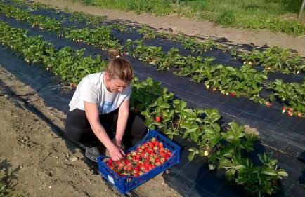 Agriturismo Arte Contadina - Foto 10