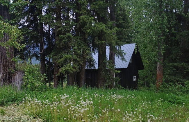 Rustic Beaverfoot Lodge Basic Cabin - Photo 37
