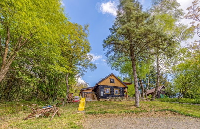 Chalet Birchwood With Whirlpool and Sauna - Foto 20