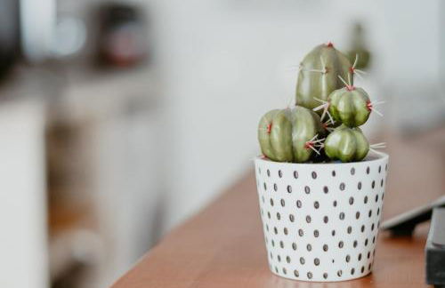 Le Quai 04 - Foto 15